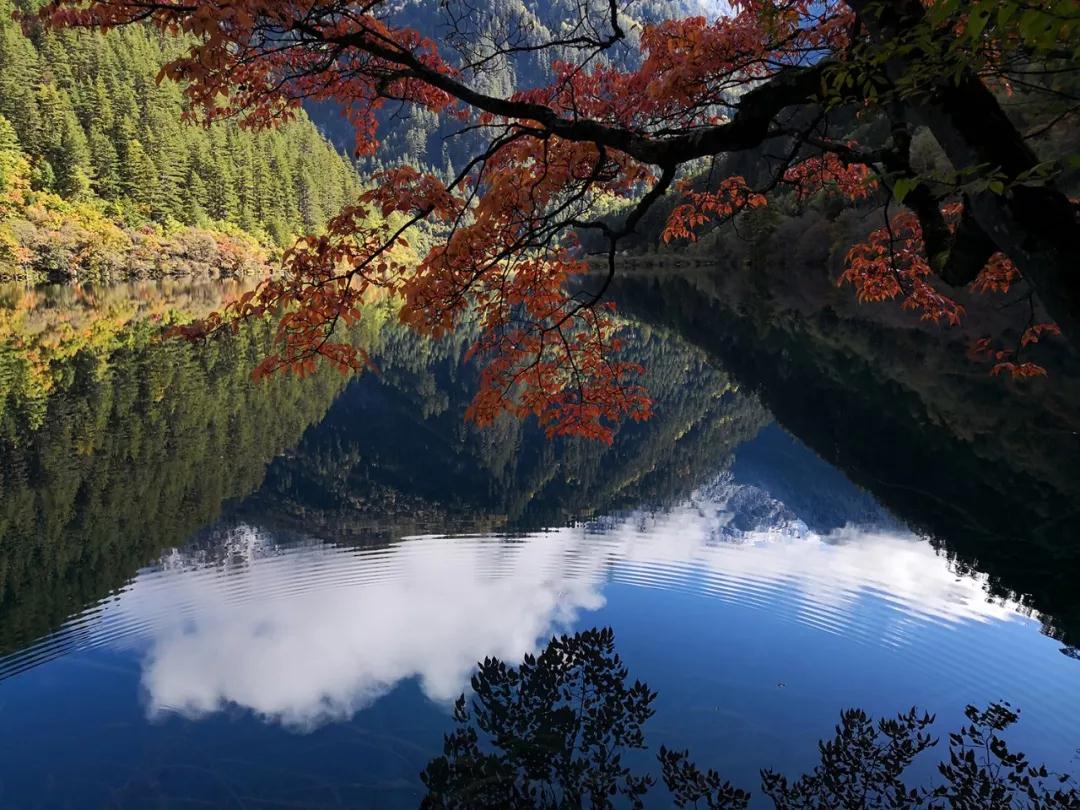 秋天的九寨风景区,秋天的九寨沟风景区山水视频