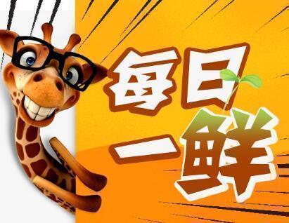 眉有办法!发际线男孩小吴祝福赵丽颖结婚,曾表示理想型是赵丽颖