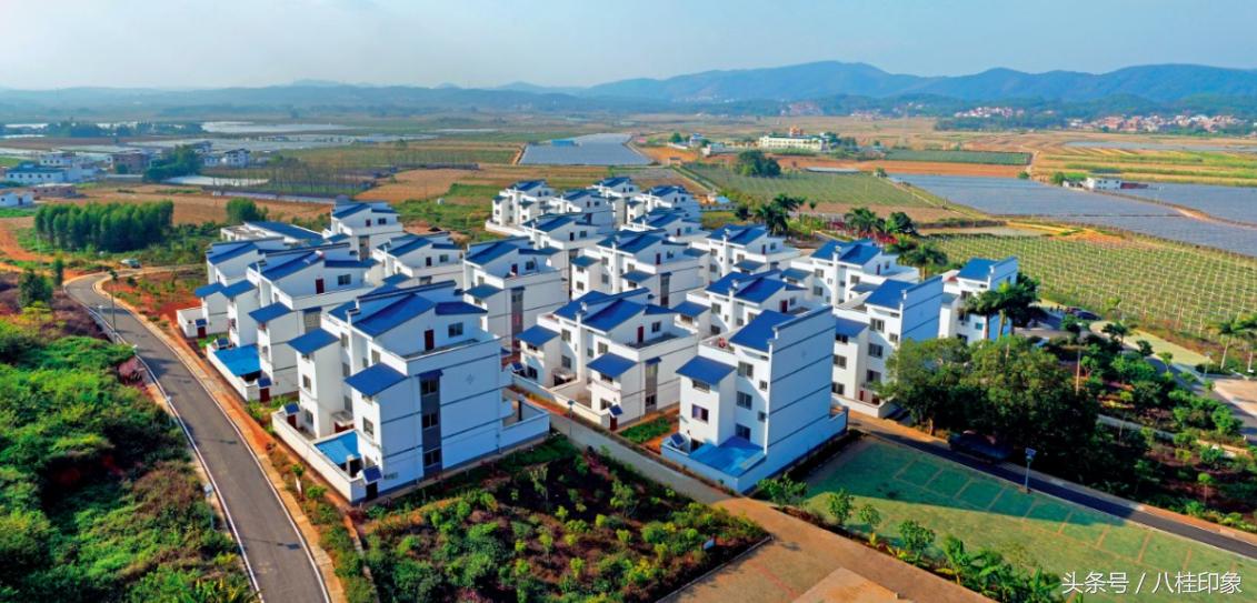 青秀区创意科技节,南宁市青秀区创意活动