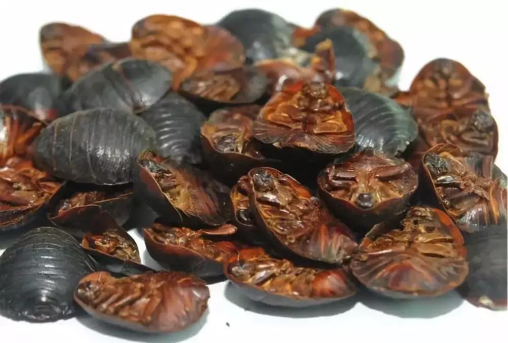 农村大集上的稀罕物120元一斤,农村3元一斤稀罕物