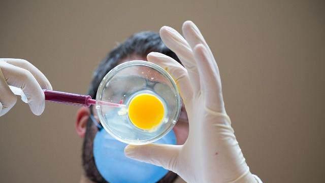 “精子”进入女人体内,没有“受精”去了哪里?或许多数人不知道