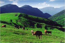 山西晋城市概况,晋城市大厦工程概况