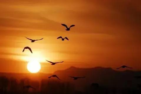 又见重阳原唱完整版,又见重阳歌曲完整版