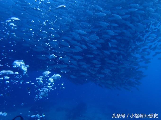 塞班岛自由行全攻略,带你上天下海游遍全球不是梦