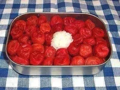 日本网友晒超可怕“恶妻便当”,这碗独特的狗粮你Get到了吗？