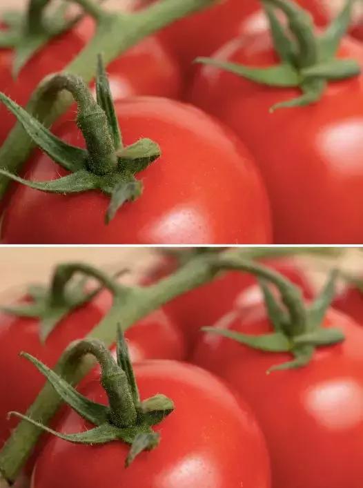 各个品牌的相机色彩对比,哪个品牌的相机颜色最准