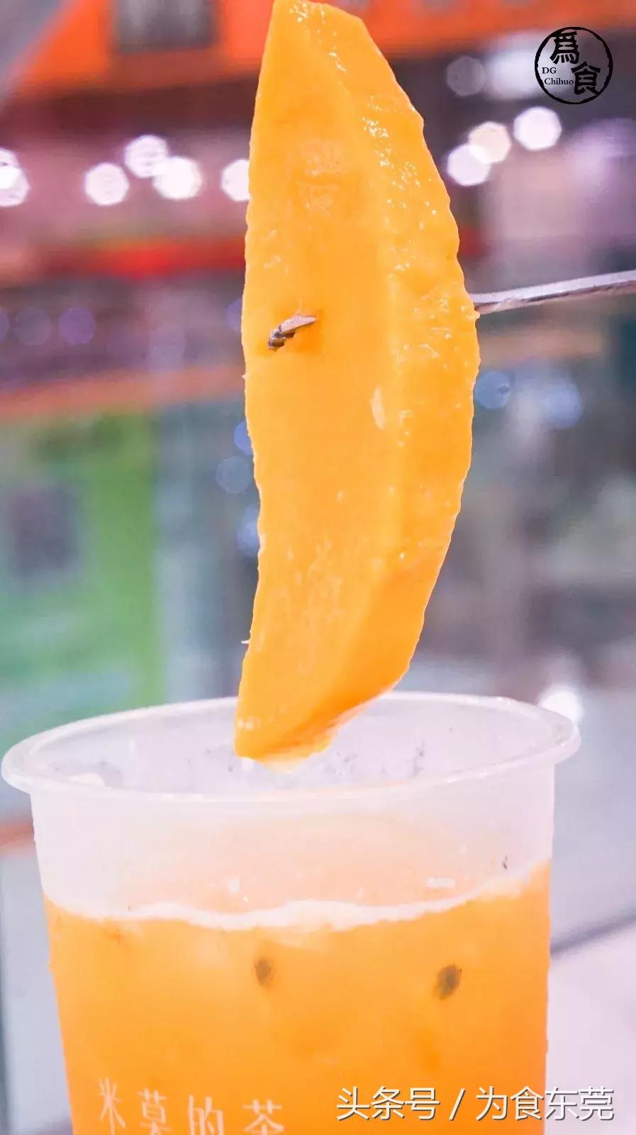 浜旀姌浠ヤ笅缇庨鍥㈣喘,浜旀姌缇庨浼樻儬鐩存挱