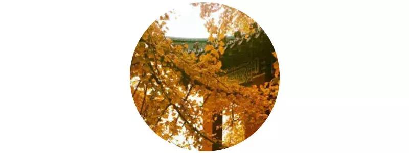 南京汤山温泉天气,汤山风景区秋天