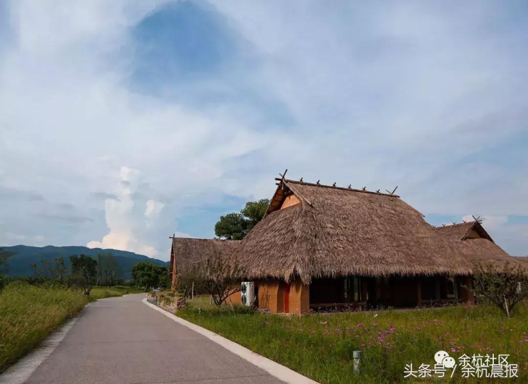 9090000㎡！余杭新增一大型公园，1299个足球场大！