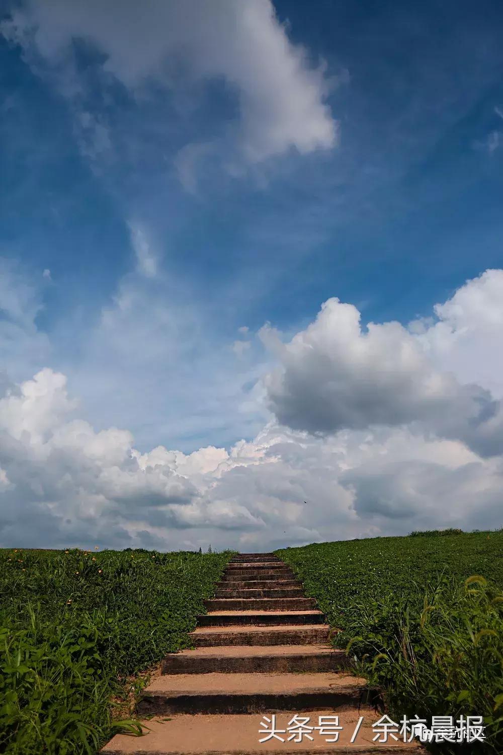 9090000㎡！余杭新增一大型公园，1299个足球场大！