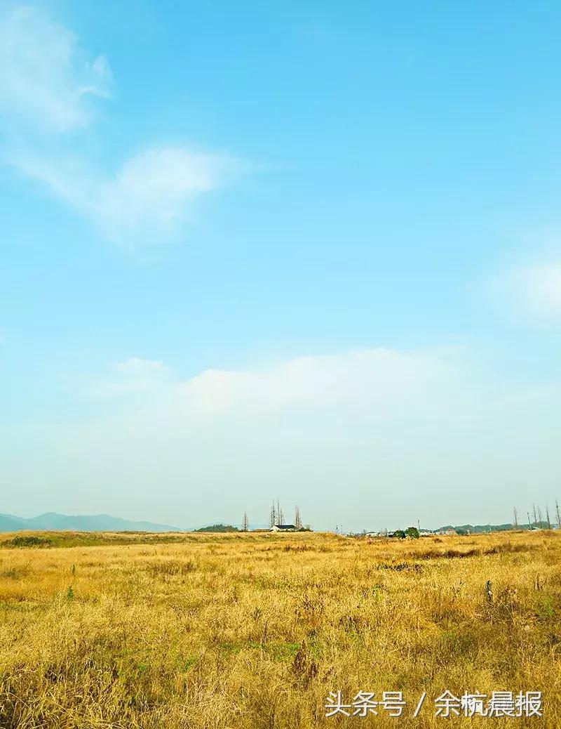 9090000㎡！余杭新增一大型公园，1299个足球场大！