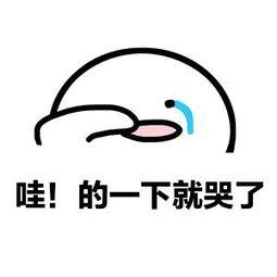 官宣：12/22缤纷启幕！独家品牌开启吃喝逛玩模式！