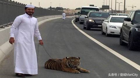 中东土豪投资的足球队有哪些,中东土豪为什么喜欢买足球俱乐部