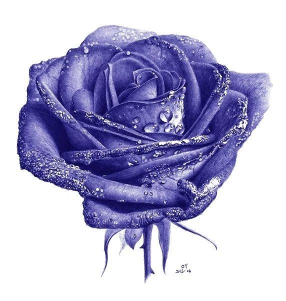 八大圆珠笔,顶级圆珠笔画欣赏