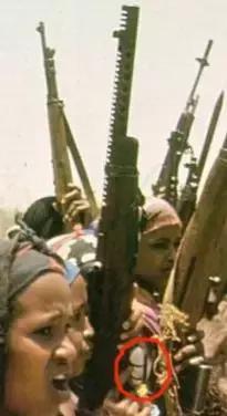 我军的榴弹枪,中国榴弹炮枪