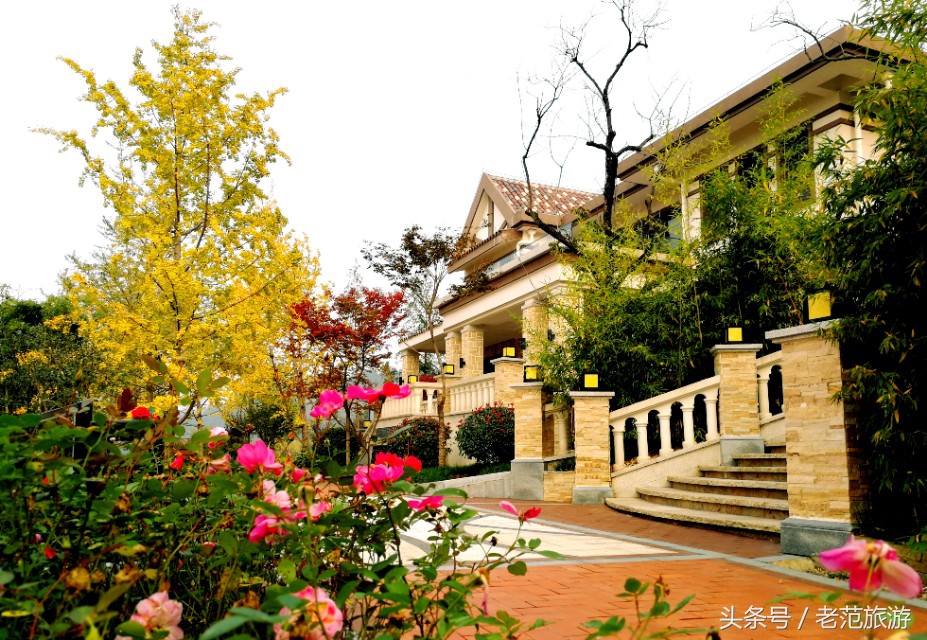 赏山赏水享人生,赏景温泉