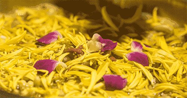 菊花什么人不建议吃呢,菊花可以吃下去吗