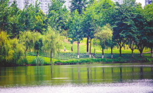 2019成都马拉松赛道示意图,成都马拉松赛道纪录