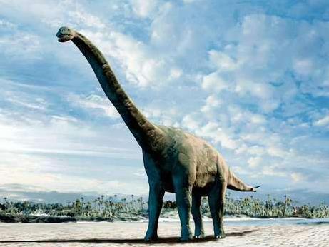 科学家发现的5种诡异生物,科学家发现奇怪的恐龙