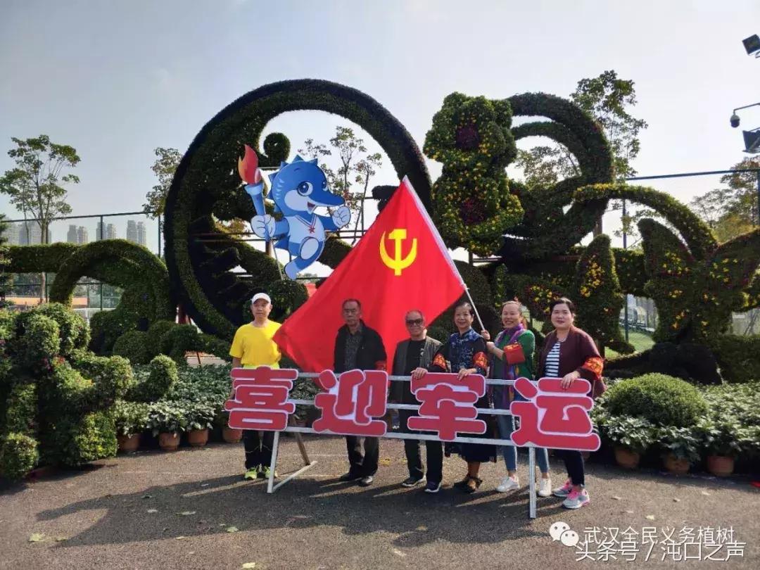 武汉第四十届菊展分别在哪里,武汉江滩第三十八届金秋菊展