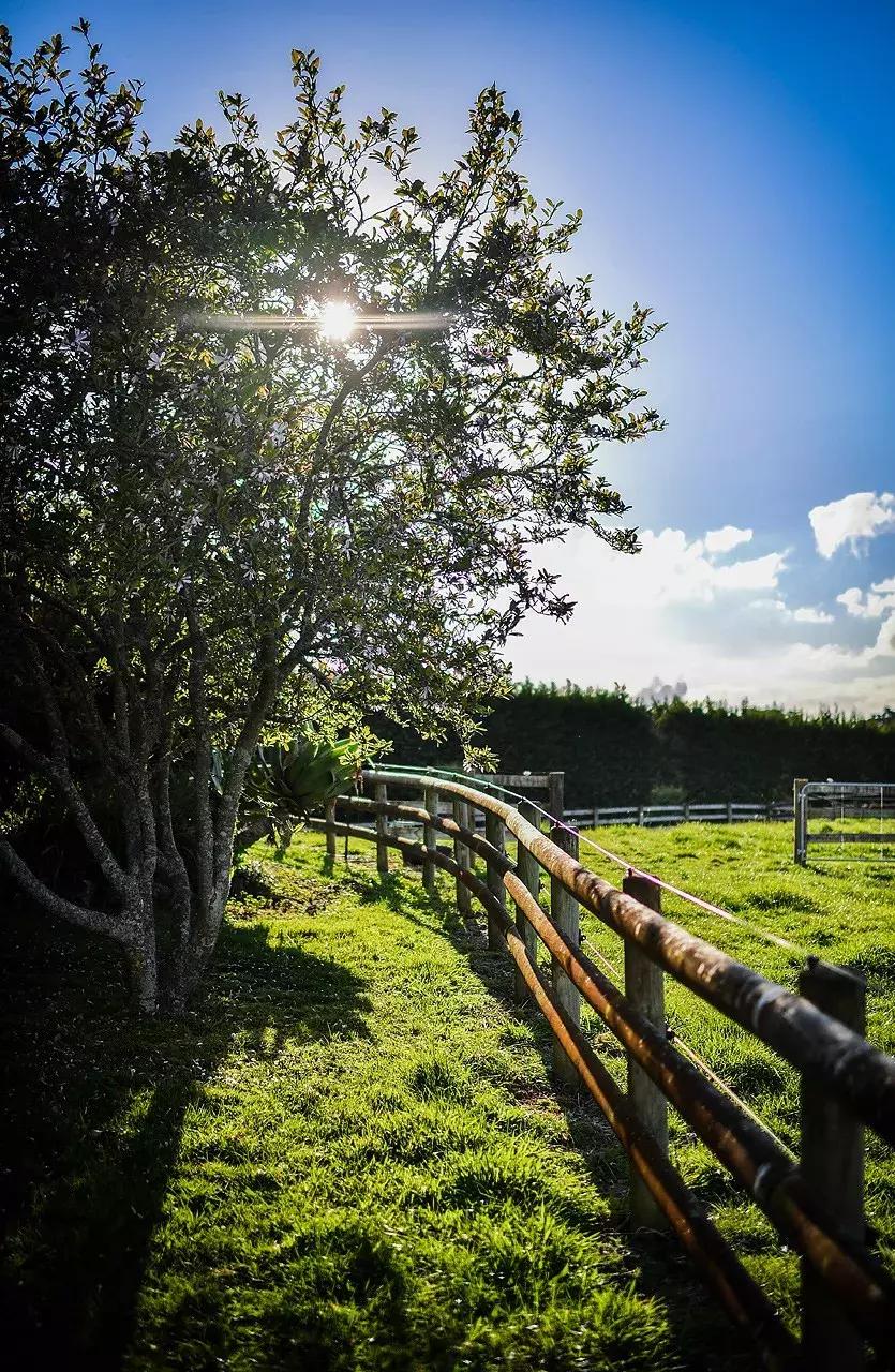 有超大草坪的庄园,大型生态农场庄园10万亩