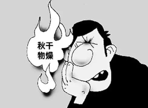 菊花都有哪些作用和功效,各种菊花都有什么功效