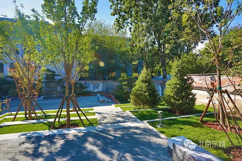 东四块玉口袋公园请您来播绿