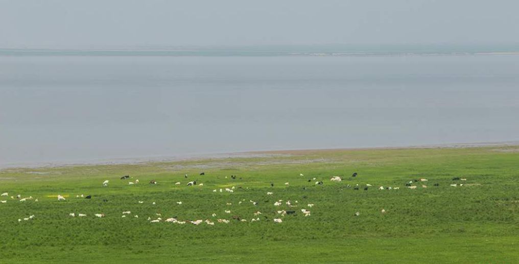 乘风破浪的励志诗词,乘风破浪的原创诗