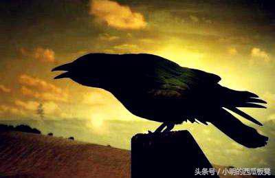 百万种硬的方式：名人背后的痛苦