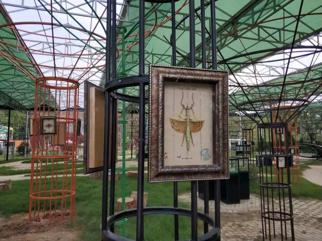 亲子网红庄园,网红亲子农庄在哪里