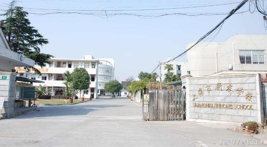 2023高考科技特长加分一览表,高考科创加分