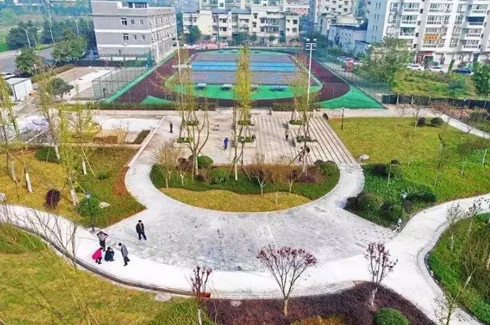 沙坪坝今日关注,沙坪坝人