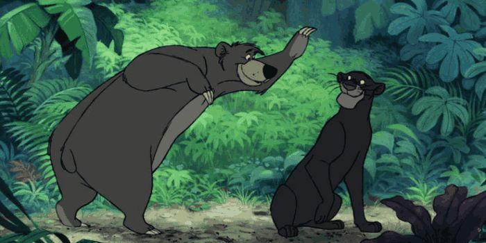 迪士尼:18个最佳动画搭档排名!