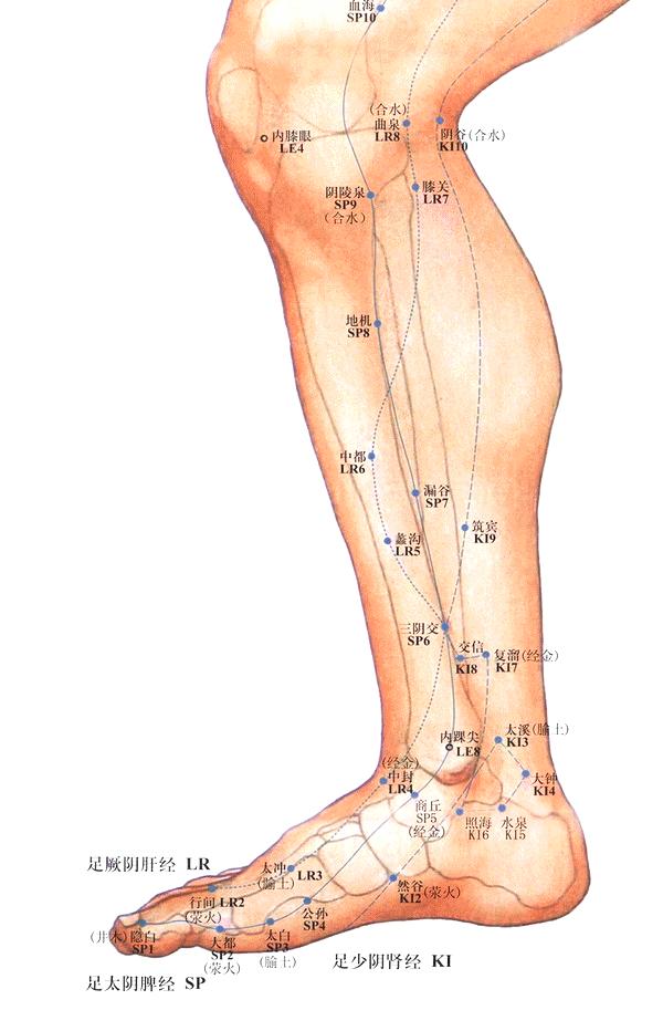 人体针灸穴位图解大全高清,人体针灸穴位图及功能详解