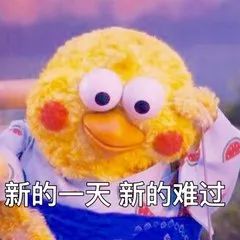 福利！同学，你的看片秘籍掉了！