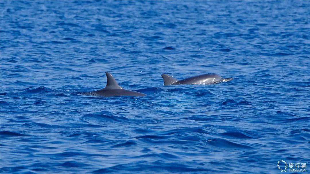 你喜欢什么样的海水,你喜欢什么样的海