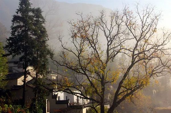 秋天的安徽,这才是安徽秋天该有的样子