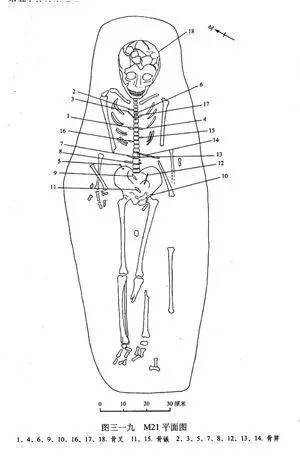 7000年前惨死的少女,7000年前的少女死亡之谜