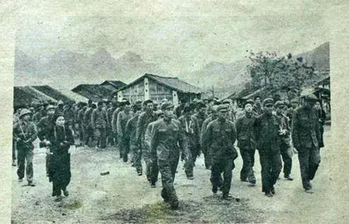 对越自卫反击战越南怎样对待俘虏,对越反击战中的越南兵