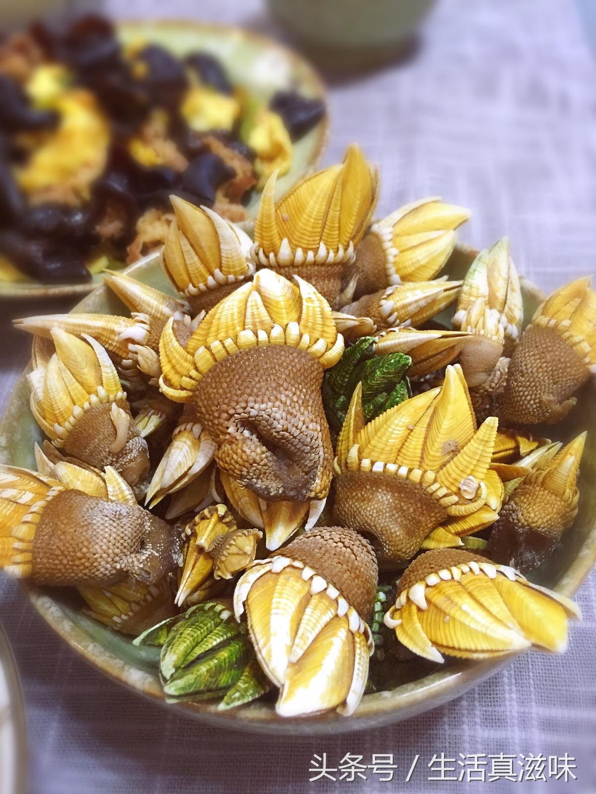 宁波生吃的海鲜有哪些,这6种海鲜好吃又有营养