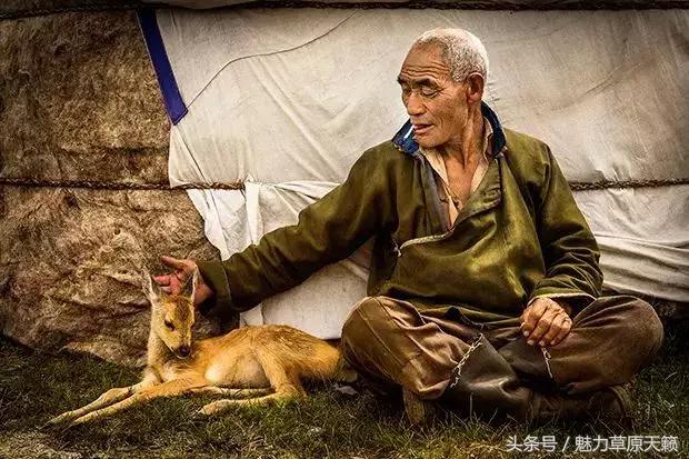 蒙古男人的魅力图片,蒙古男人的魅力谁见谁爱