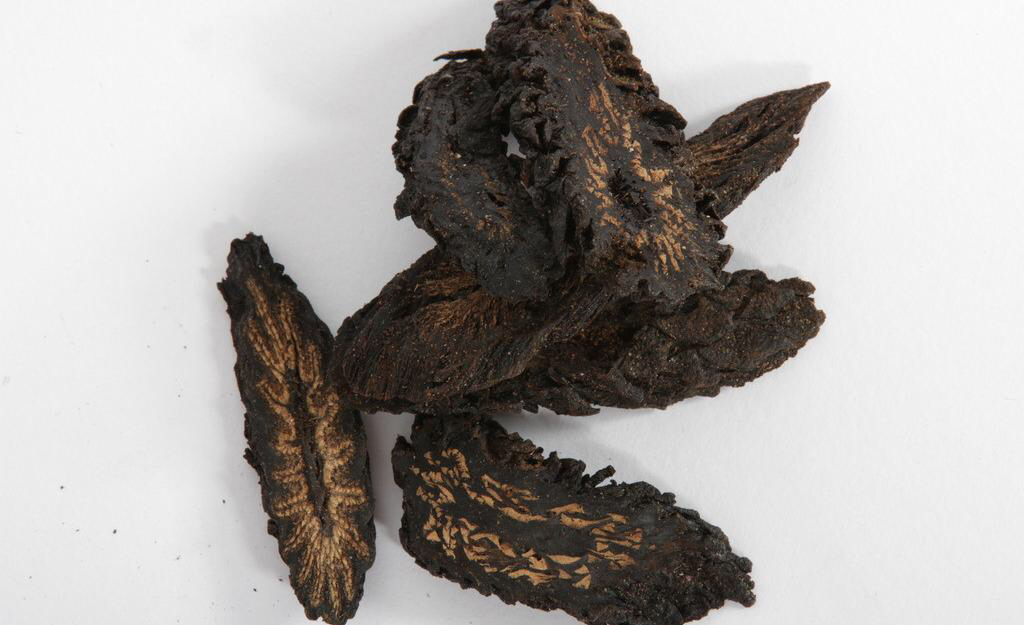 中药材肉苁蓉功效作用,中药材肉苁蓉片