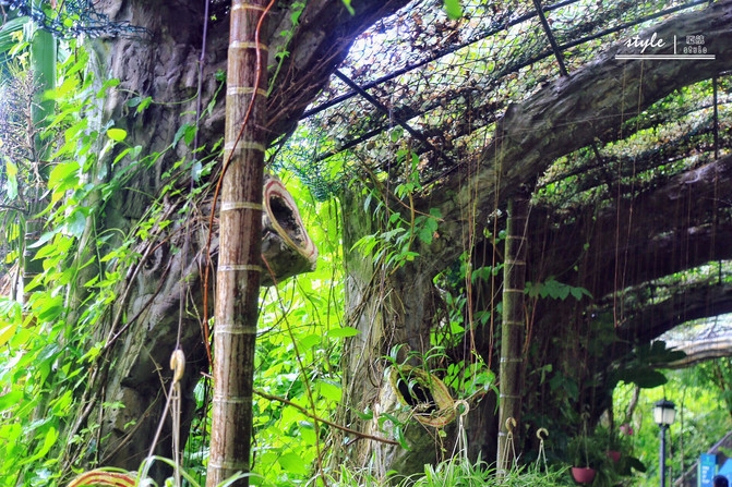 三亚森林氧吧价目表,三亚第一景点