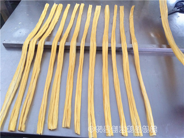 腐竹机厂家直销新型腐竹油皮机,全自动腐竹油皮生产设备厂家