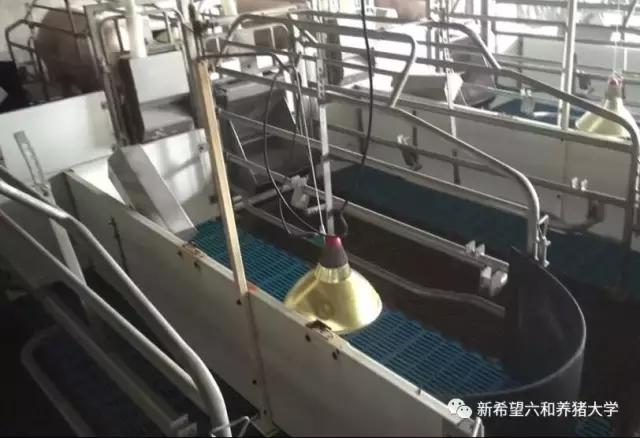 子宫炎症最好办法,子宫炎症最好的办法是什么