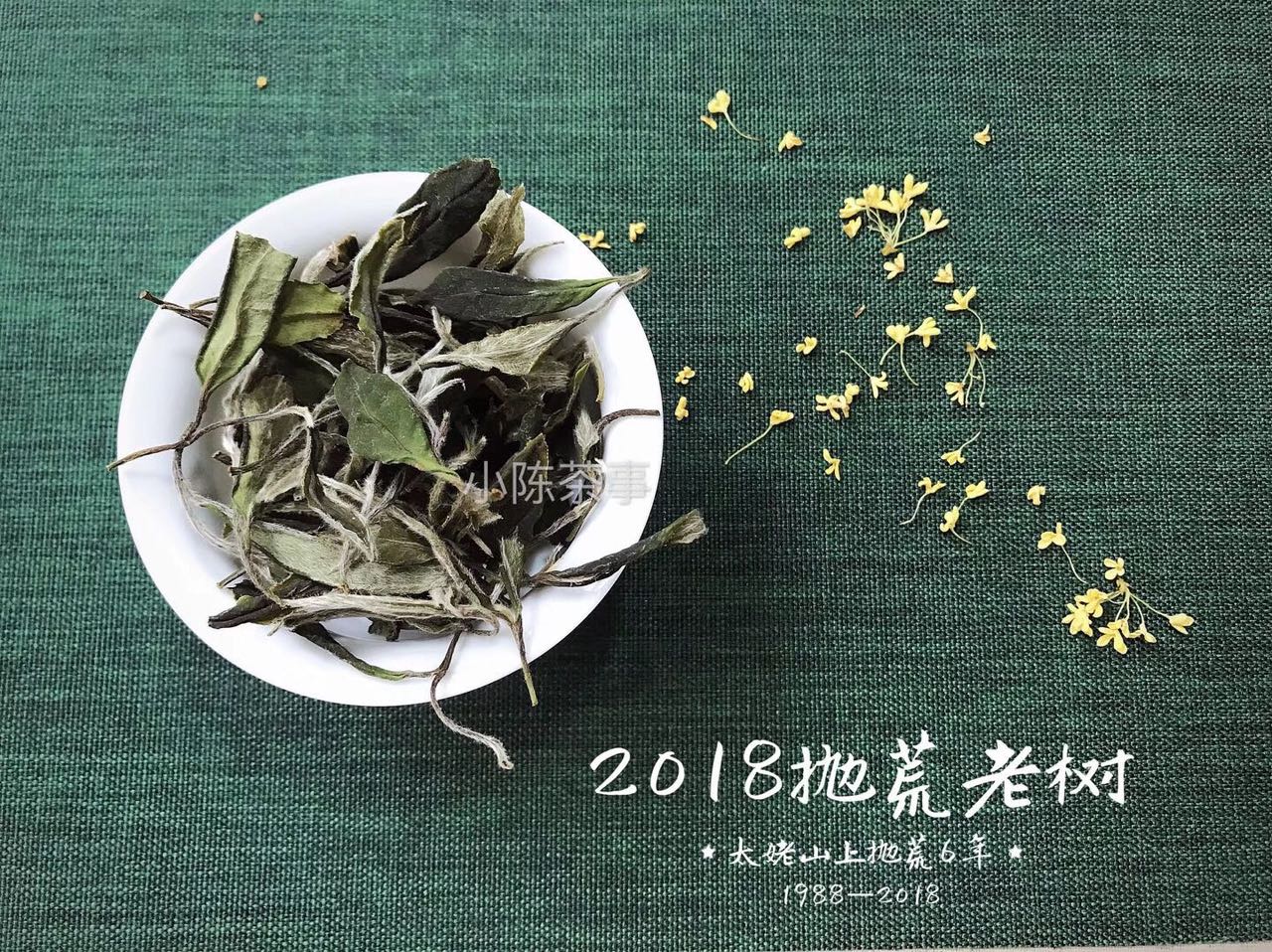 白茶饼受潮什么颜色,白茶饼有发霉味