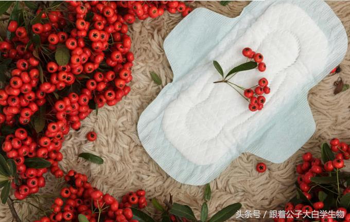 莫名其妙阴部出血是为什么?这时候可别想着浴血奋战,可能是癌症