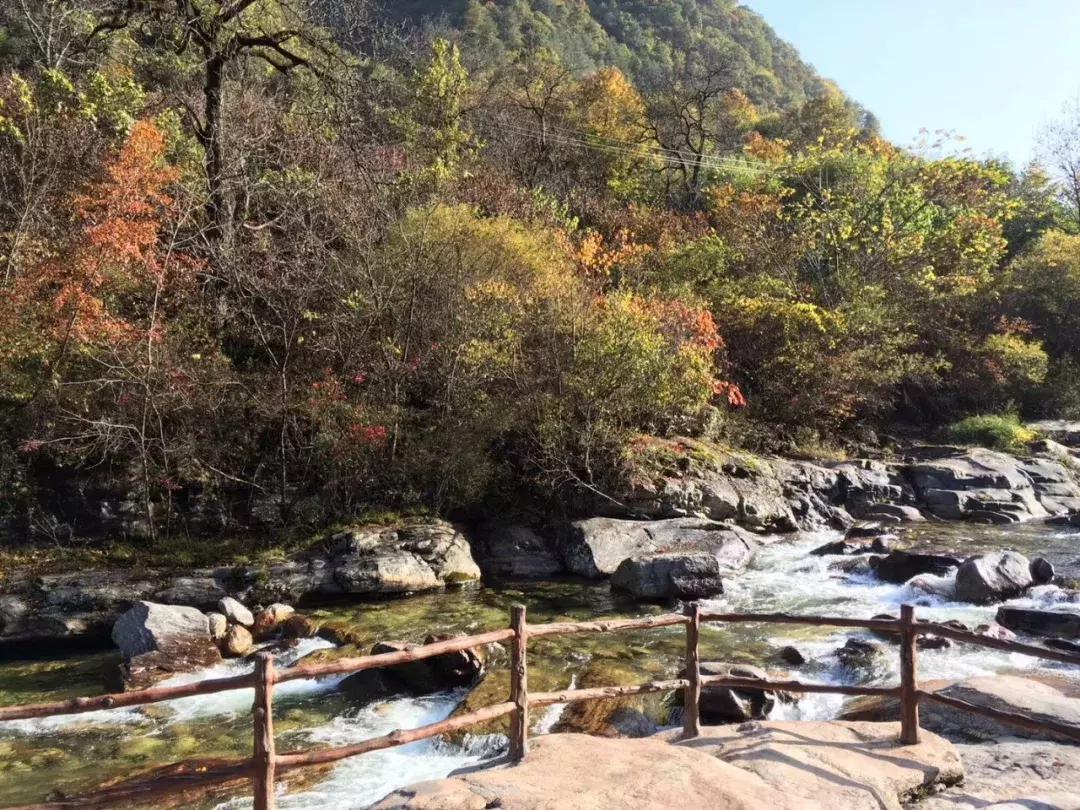 精神活性物质所致精神障碍是什么,精神活性物质所致精神障碍重点