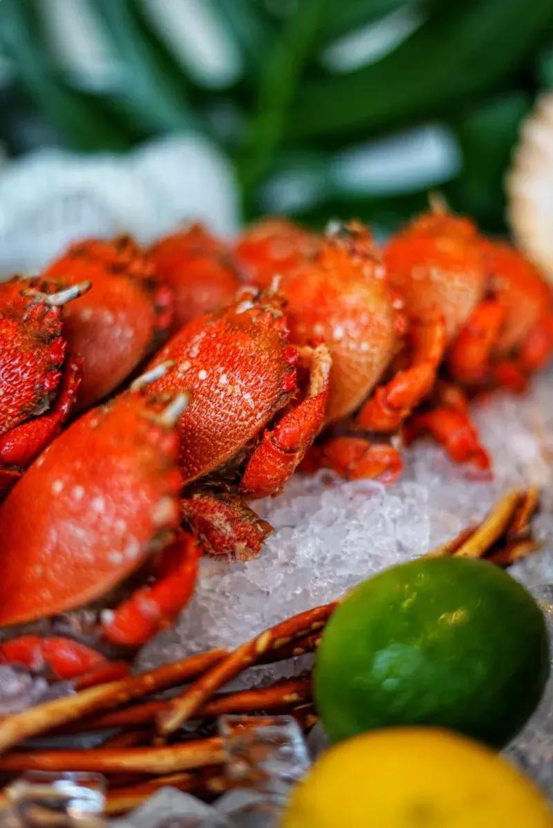 周末畅刷法国生蚝！招牌西班牙海鲜饭、珍稀火腿天天有！