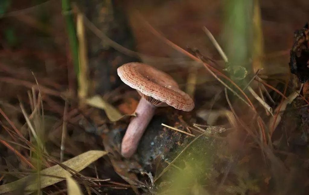 宜兴精致好吃又景色好的地方,宜兴最美的地方和美食